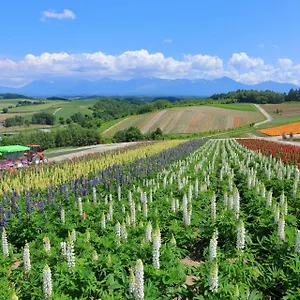 edel-warme.hokkaidohotelsjapan.com/